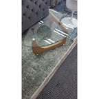 Kidney Modern Coffee Table